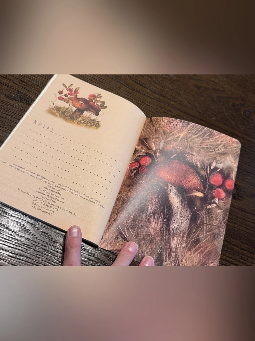 3 for $15 Bruno Visconti Soft Touch Mushrooms Watercolor Journal A5 NEW